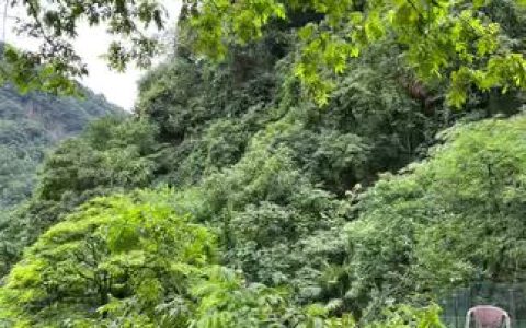 微密圈左公子666视频全集,网红女神的微密圈内容