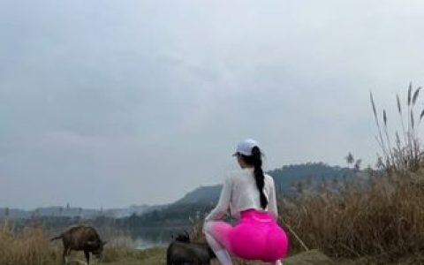 微密圈左公子666图集合集,微密圈最新动态更新