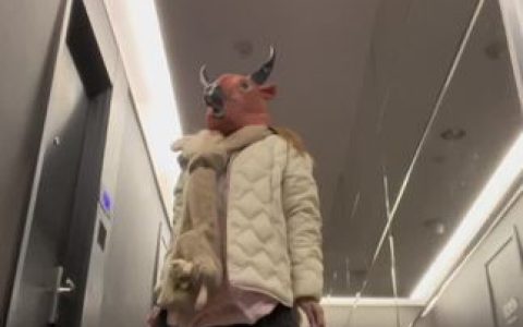 抖音VC独角兽瓜是什么?微密圈大瓜引发热议
