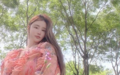 魅澜希的花岛主身份揭秘,她在直播界的过往与崛起