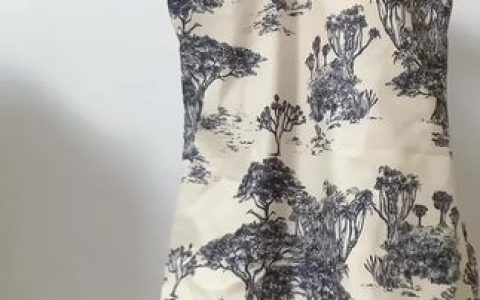 小芋泥yyy微密圈作品欣赏,她的作品如何展示个人魅力?