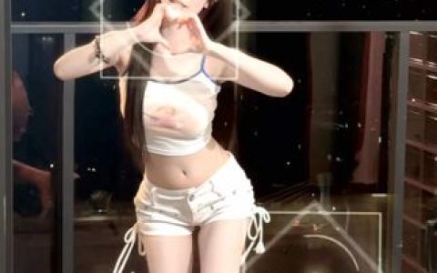 网易CC灰灰娜20分钟视频流出事件,真相大揭秘