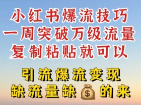 小红书掘金项目能不能月入10万，虚拟项目的蓝海玩法分享