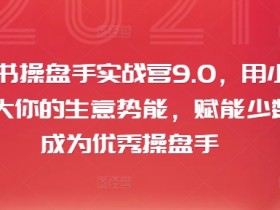 小红书掘金项目能不能月入10万，虚拟项目的蓝海玩法分享