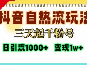 抖音营销模式深度解析，为品牌提升影响力的操作指南