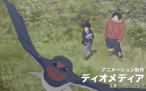 鸭子的天空男主角最终能否获得胜利，分析鸭子的天空男主角最终能否赢得比赛与实现梦想