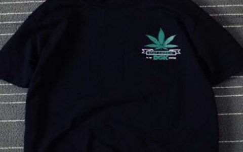 黑色五叶草阿斯塔觉醒恶魔之力阿斯塔觉醒恶魔力量的深度解析,解密阿斯塔如何获得并掌控恶魔之力