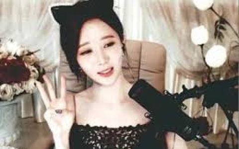 Afreecatv播放器下载与安装，如何正确安装Afreecatv播放器并观看直播？