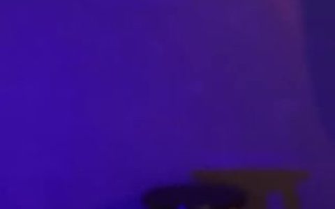 斗鱼萌七啊资料,收集萌七的所有个人资料与直播内容