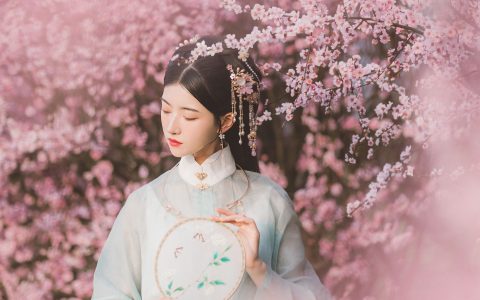 美人梅 古风 美人 梅花 摄影 优美 美图 唯美&YiTuYu艺图语