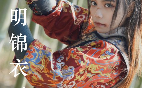 大明锦衣卫 古装 武侠 江湖 摄影 精美&YiTuYu艺图语
