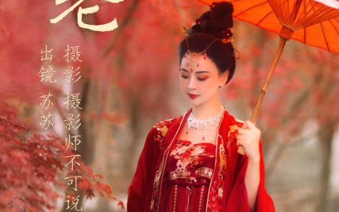 春不老 古典 意境 中国风 古风 唯美 禅意 红色 树林 枫树 枫叶&YiTuYu艺图语