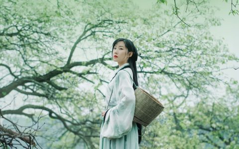 梨香 古风 绿色 梨花 意境 花 优美 摄影 美图 禅意&YiTuYu艺图语