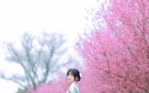 和服樱花 和服 樱花 妹子 写真 日系&YiTuYu艺图语