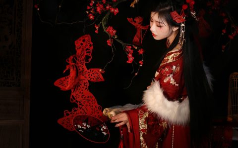 红梅剪纸&YiTuYu艺图语