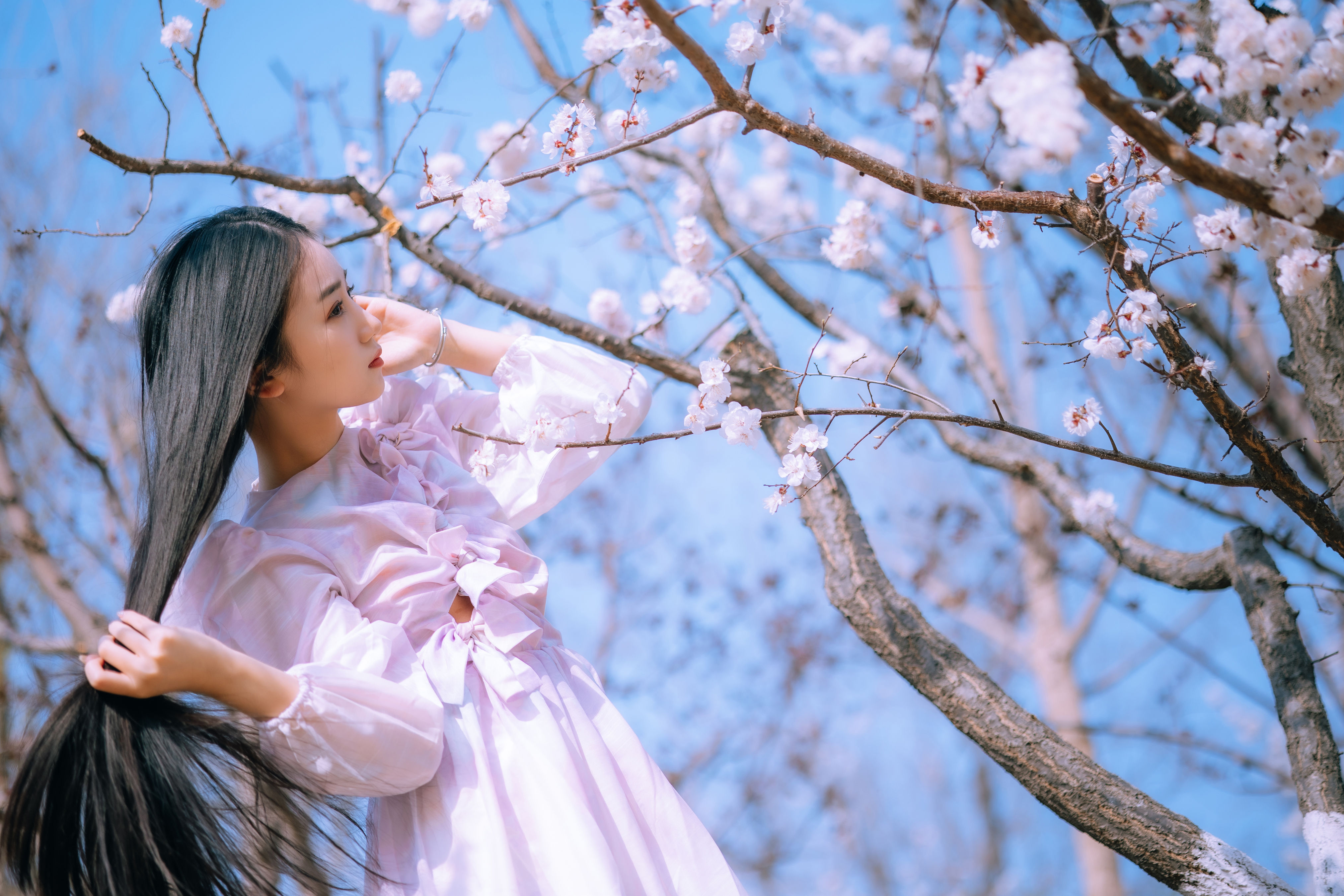 桃花坞里桃花庵， 桃花庵下桃花仙； 桃花仙人种桃树， 又摘桃花换酒钱。-汉服频道-我爱古装网 - 古装爱好者的家园