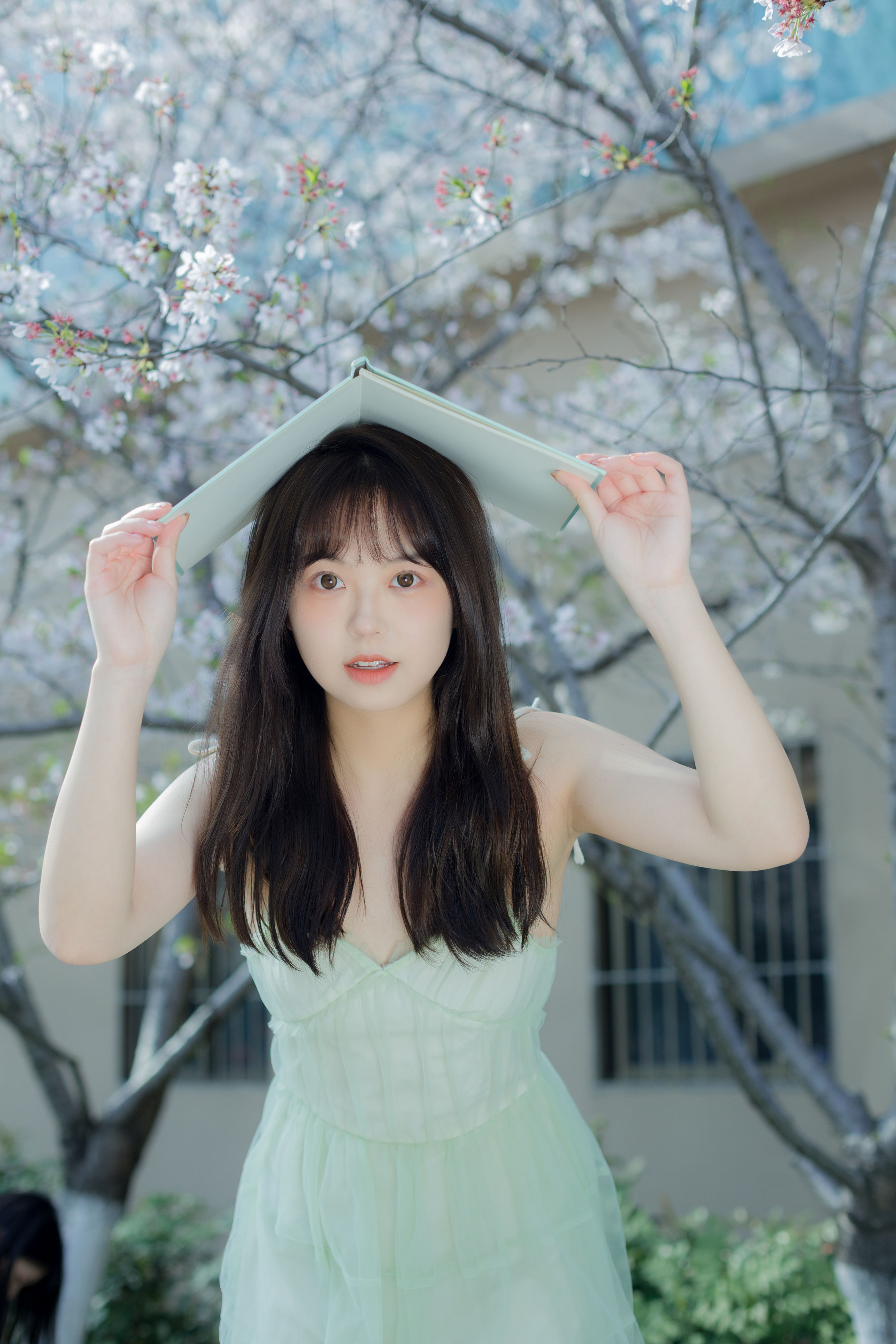 秒速五厘米 清纯 少女 小清新 写真 樱花 漂亮