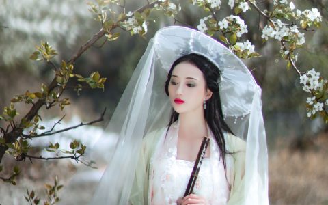 梨花意 古风 意境 梨花 花 古代 唯美 禅意 山林 艺术&YiTuYu艺图语