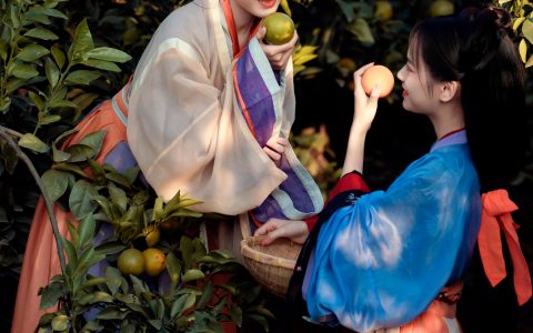 采橘 古代 姑娘 古风 汉服 唯美 美图 小仙女 摄影 闺蜜&YiTuYu艺图语