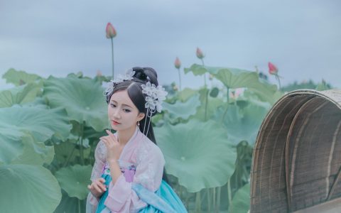 苏幕遮 荷花 汉服 女子 优美 美人&YiTuYu艺图语