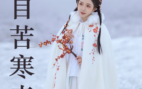 梅花香自苦寒来 冬天 雪景 汉服 花 少女&YiTuYu艺图语