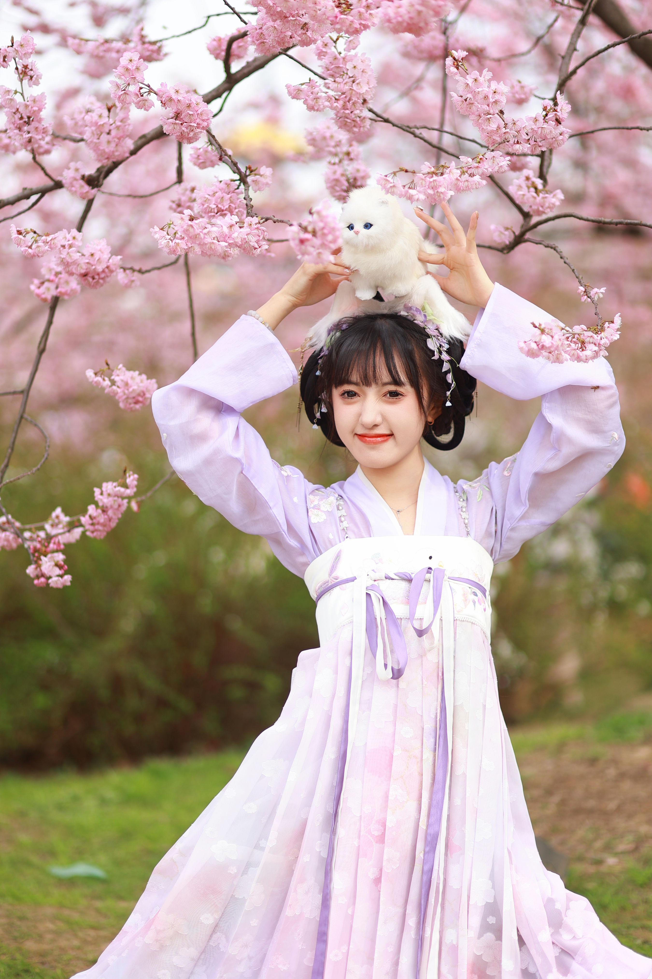 猫耳少女 樱花 汉服 小姐姐 妹子 可爱 写真 少女