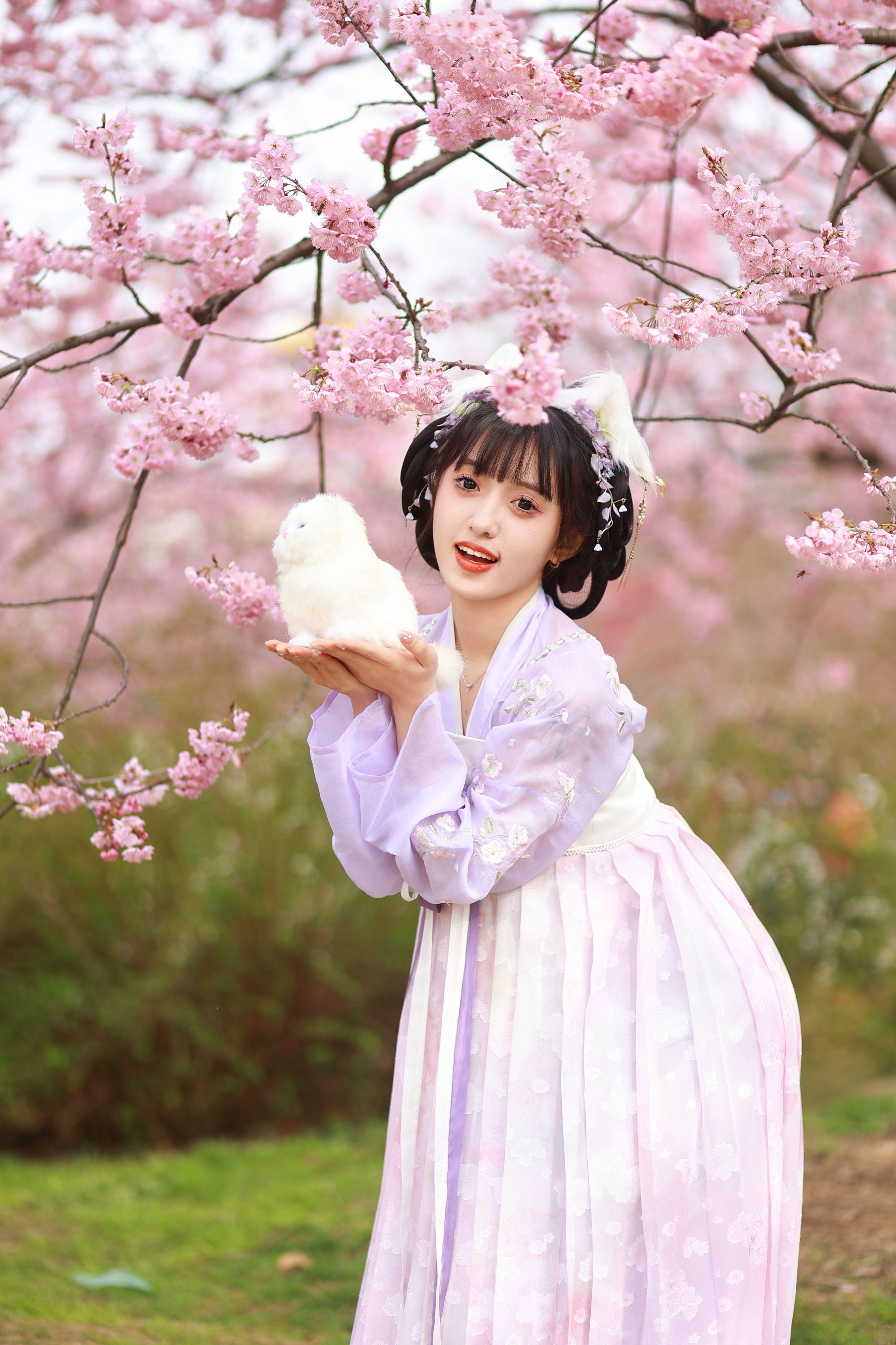 猫耳少女 樱花 汉服 小姐姐 妹子 可爱 写真 少女