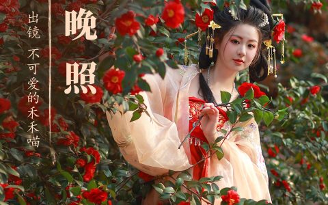山茶晚照&YiTuYu艺图语